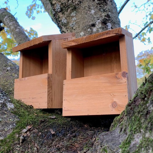 Wildlife wooden bird - wooden, house