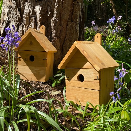 Large wooden multi - large, bird