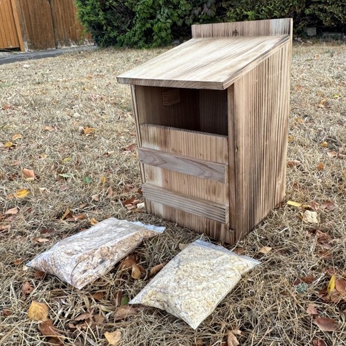 Wooden owl wild bird - bird, box