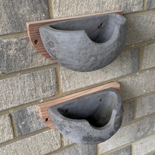House martin nest - house, bird