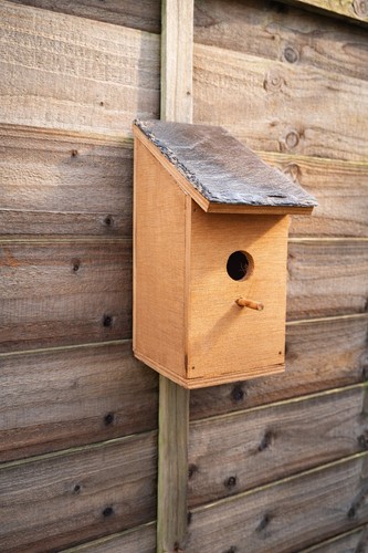 Wooden bird box - bird, 32mm