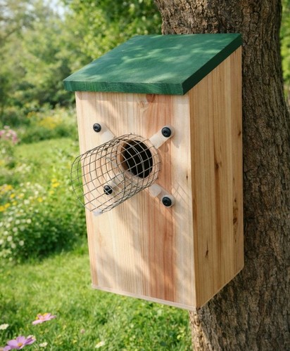 Bird box with predator - with,