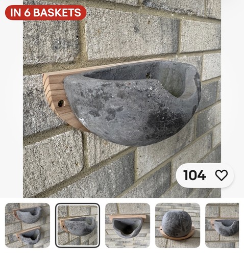 House martin nest - martin, bird