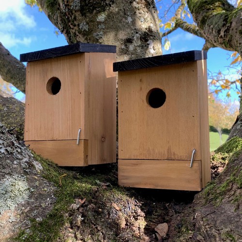 Wooden bird nesting box nest - wooden,