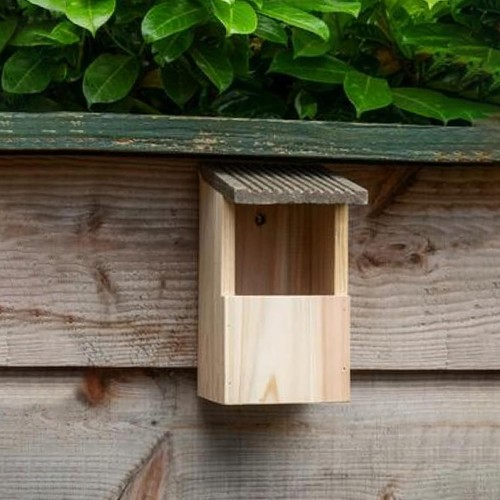 Wild bird wooden - bird, nesting