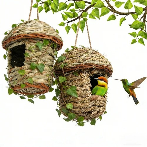 Bird nesting box - nesting, house