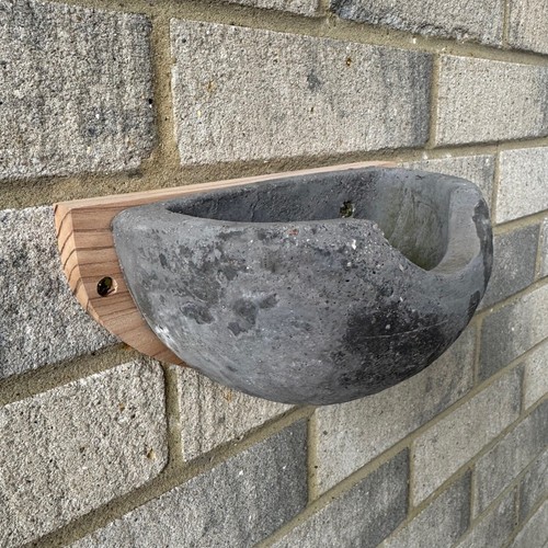 House martin nest - house,