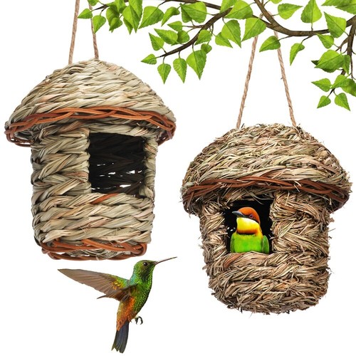 Bird nesting box - bird, house