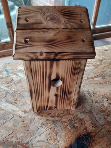 Blue tit nesting box - tit,