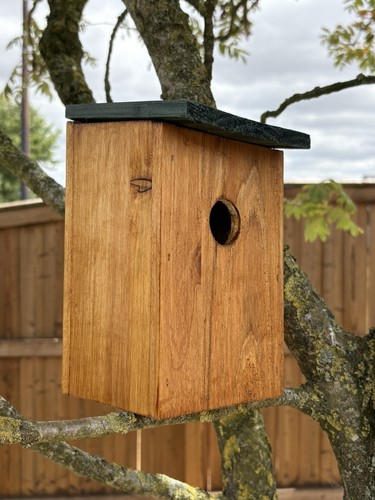 Wooden nesting box nest - nesting,