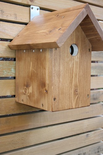 Nest box bird for - bird,