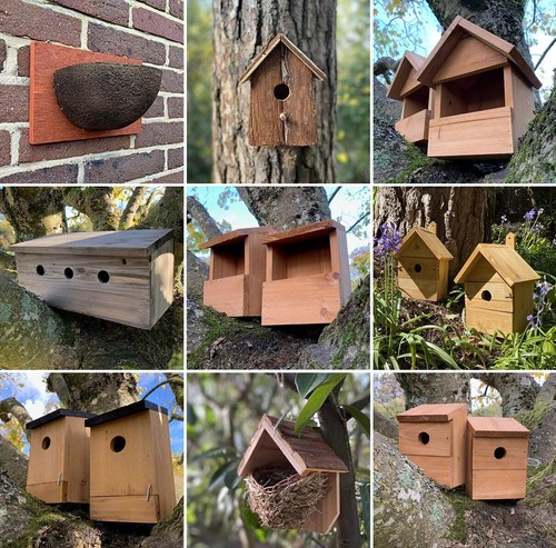 Bird nest box wood - bird,