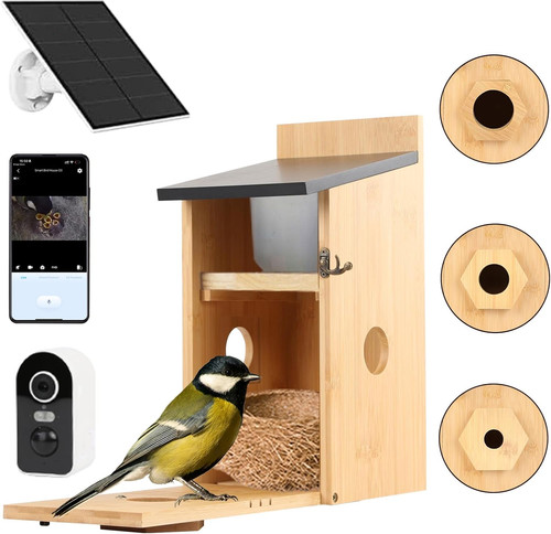 Bird box camera - bird,