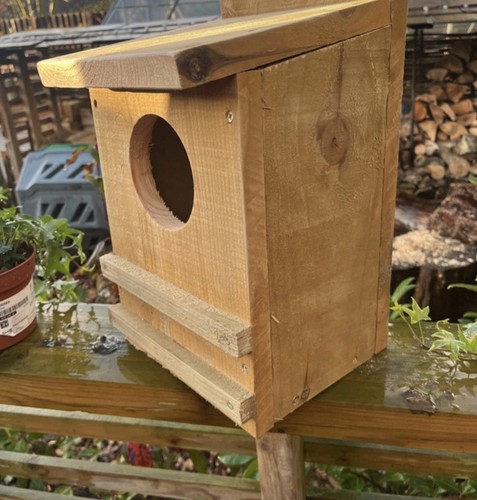 Wooden birdhouse nesting box - nesting,