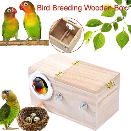 Bird breeding box - bird, nest