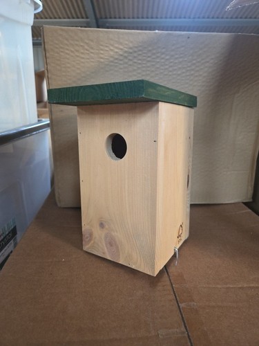 Starter bird nest - starter,