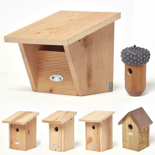 Mounted wooden bird - mounted,