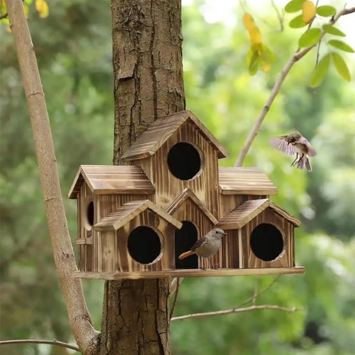 Hole wooden bird house - bird,