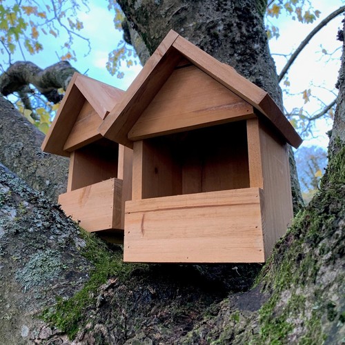 Large wooden robin bird house - large,
