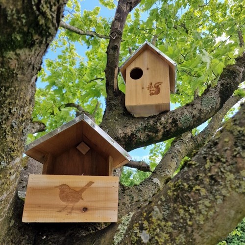 Squirrel nest box and wooden - box,