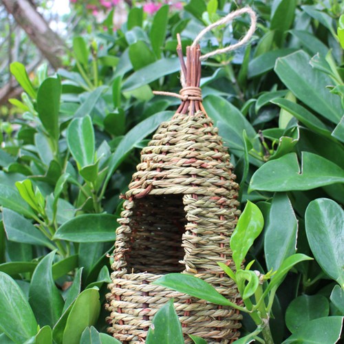 Outdoor bird nesting box - outdoor,
