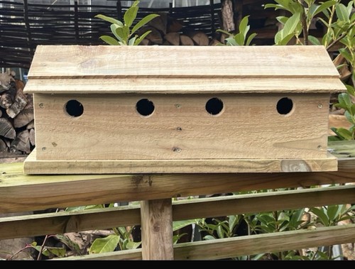 Sparrow nest bird box wooden - bird,