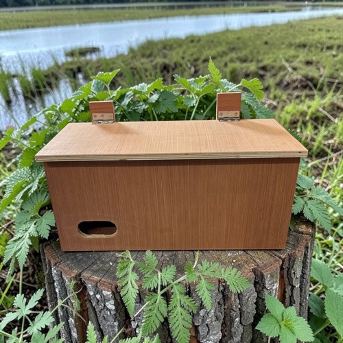 Swift nest box wooden - nest,