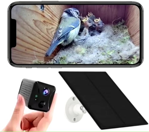 Bird box camera wifi - box,