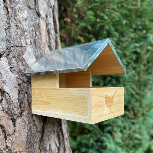 Blackbird wooden nesting box - nesting,