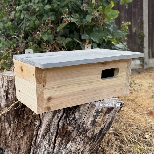 Wildlife wooden bird house - wildlife,