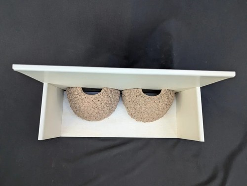 Double house martin - house,