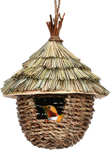 Bird nest grass wicker - bird,
