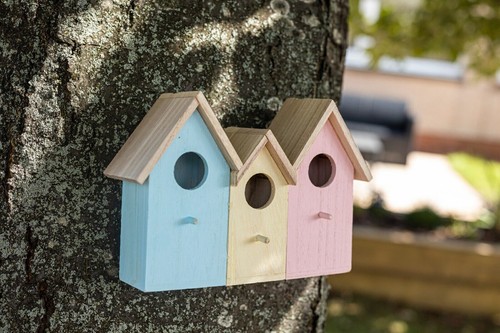 Wild bird beach house - 1,