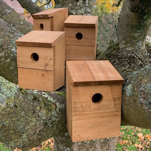 Wooden multi hole - multi-hole, bird