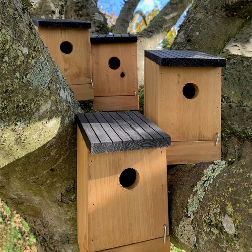 Wooden birdhouse box nesters - birdhouse,