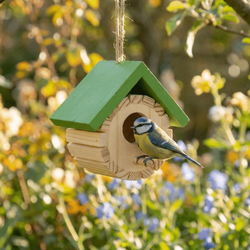Wooden bird nest garden - wooden, wild