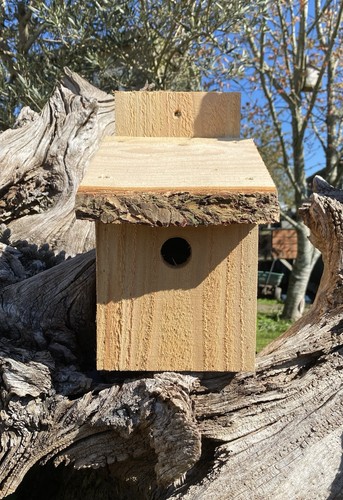 Handmade bird box - box, nesting