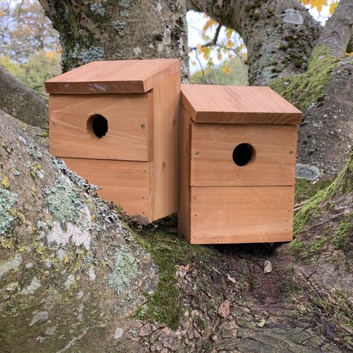 Wooden multi hole wild bird - wooden,