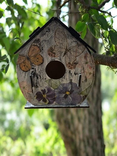Miniature garden bird - garden,