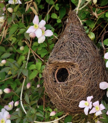 Giant roost pocket - roost, box