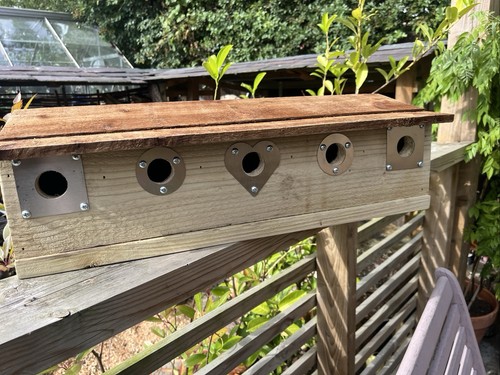 Sparrow nest bird box wooden - sparrow,